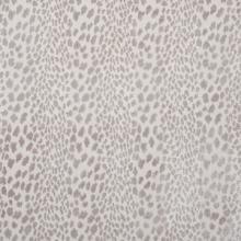 Ambella Home Collection 2101-6006-92 - Meowww