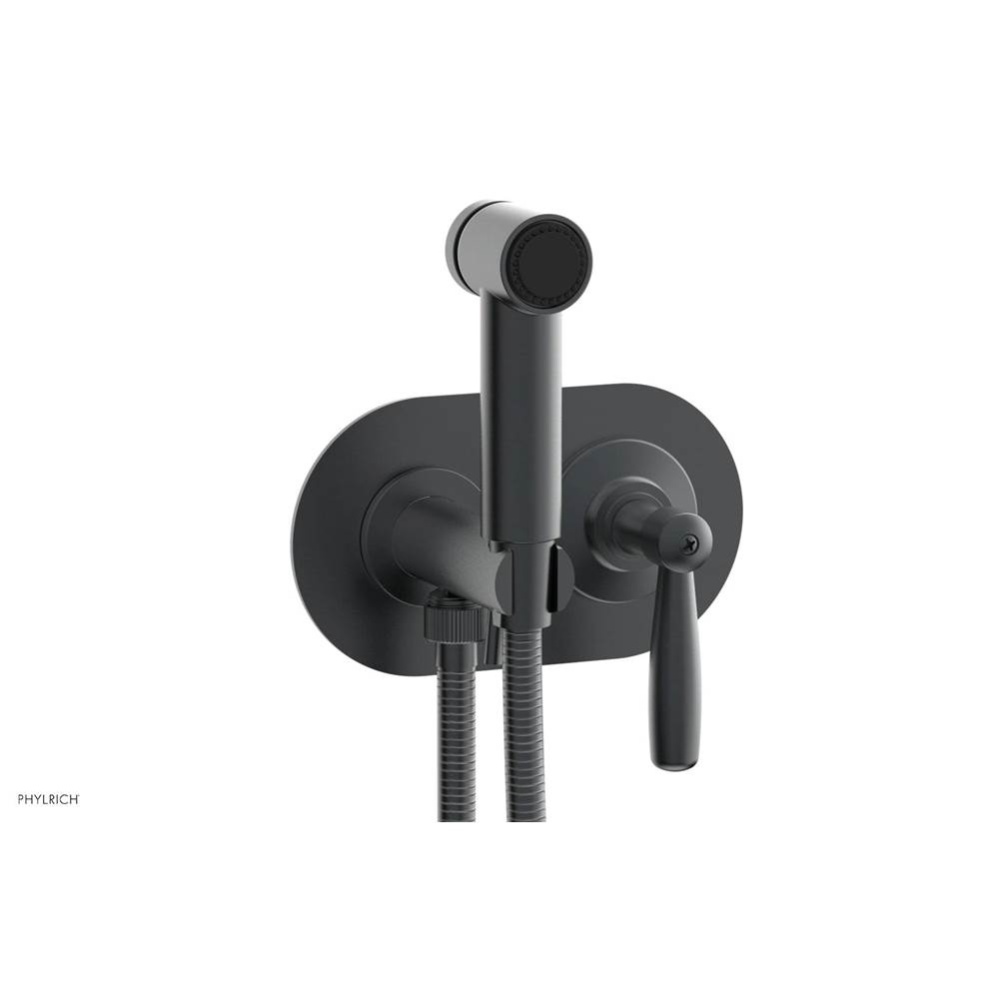 Wall Mounted Bidet Set Works, Lever Handle