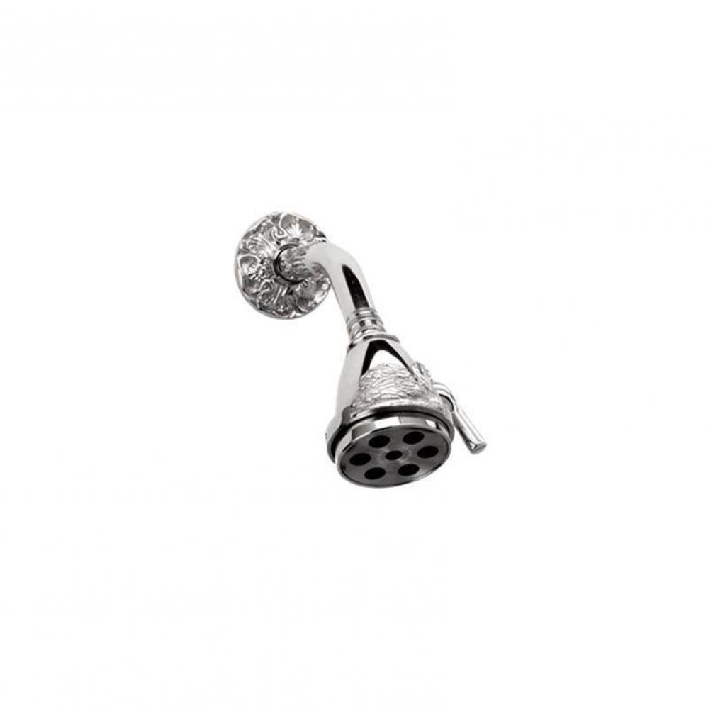SWAN Shower Head K800