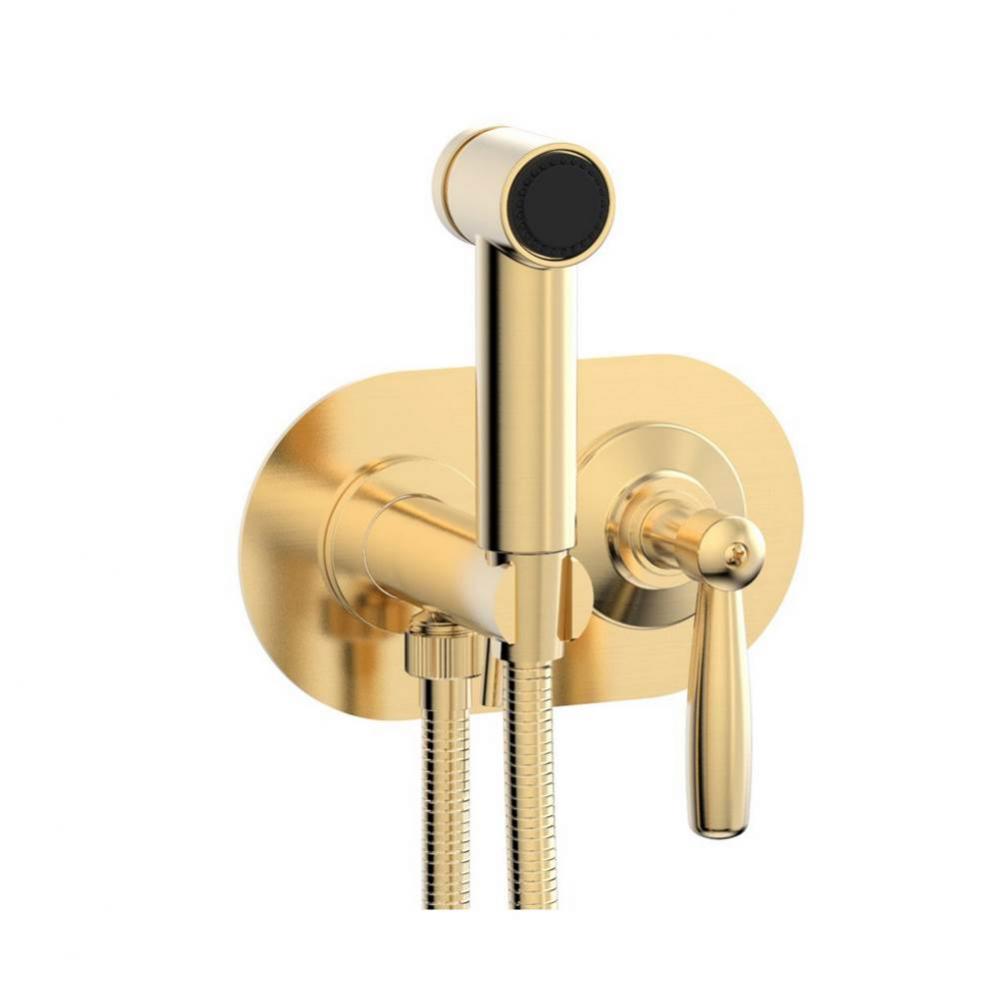 Wall Mounted Bidet Set Works, Lever Handle