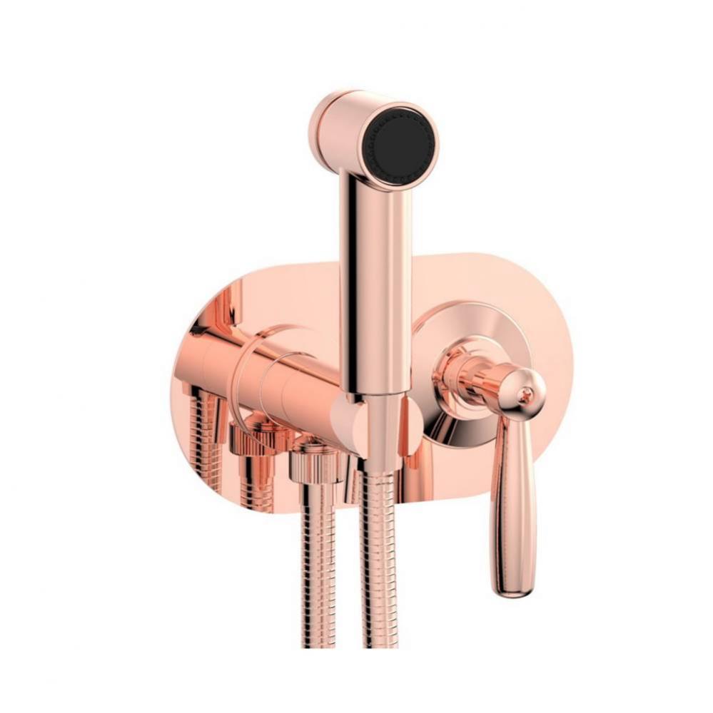 Wall Mounted Bidet Set Works, Lever Handle