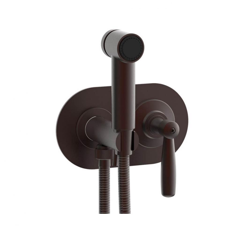 Wall Mounted Bidet Set Works, Lever Handle