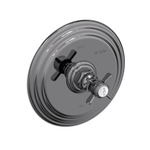Newport Brass 4-1004BP-30 - Fairfield Balanced Pressure Shower Trim Plate with Handle. Less showerhead, arm and flange.