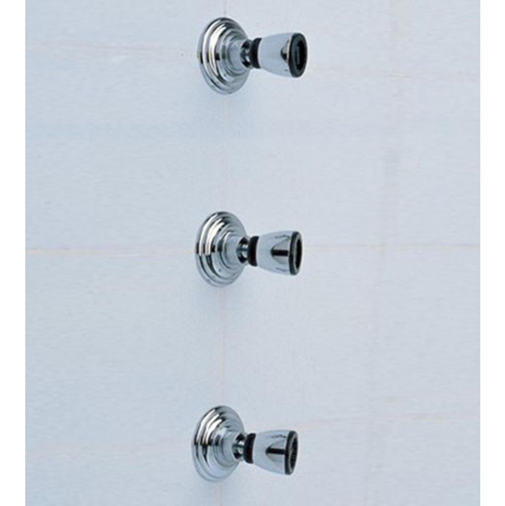 ''Royale'' Adjustable Wall Body Spray in Polished Brass