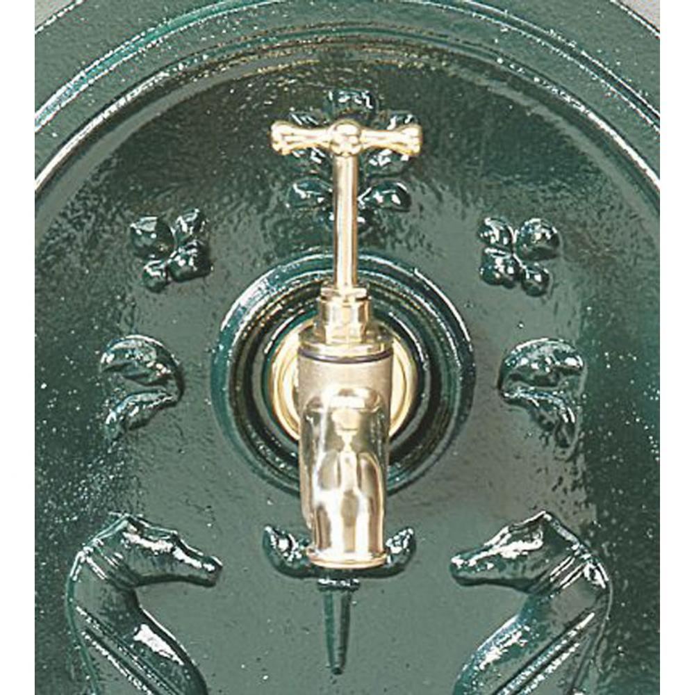 Garden Tap and Hose