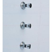 Herbeau 304855 - ''Royale'' Adjustable Wall Body Spray in Polished Brass