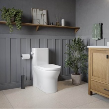 Neptune 220290-000-264-000 - Florence 4.8L Side Flush One-Piece Toilet in White