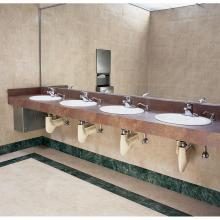 Bobrick 830 - Cabinet, Stainless Steel Construction, with Low Soap Indicator (LSI) Light