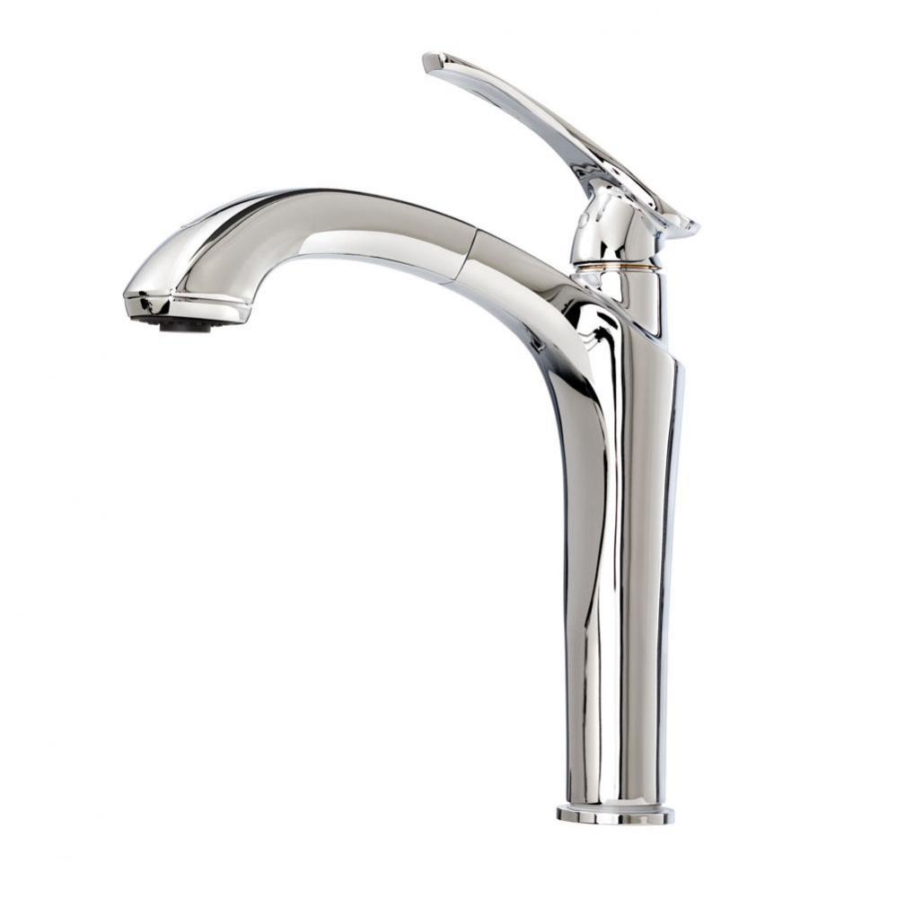 NAJA surfer? Single Handle Kitchen Faucet Pull-Out Dual Spray