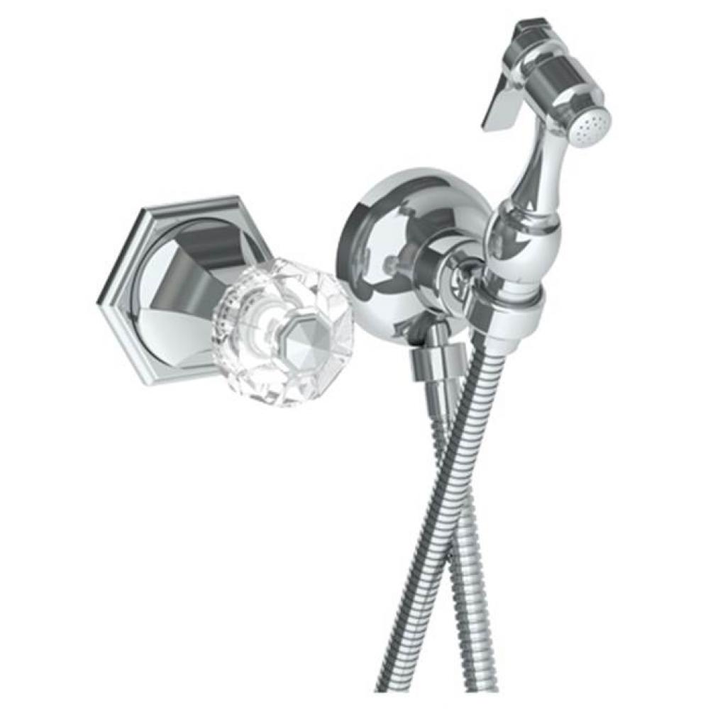 Wall Mounted Bidet Spray Set