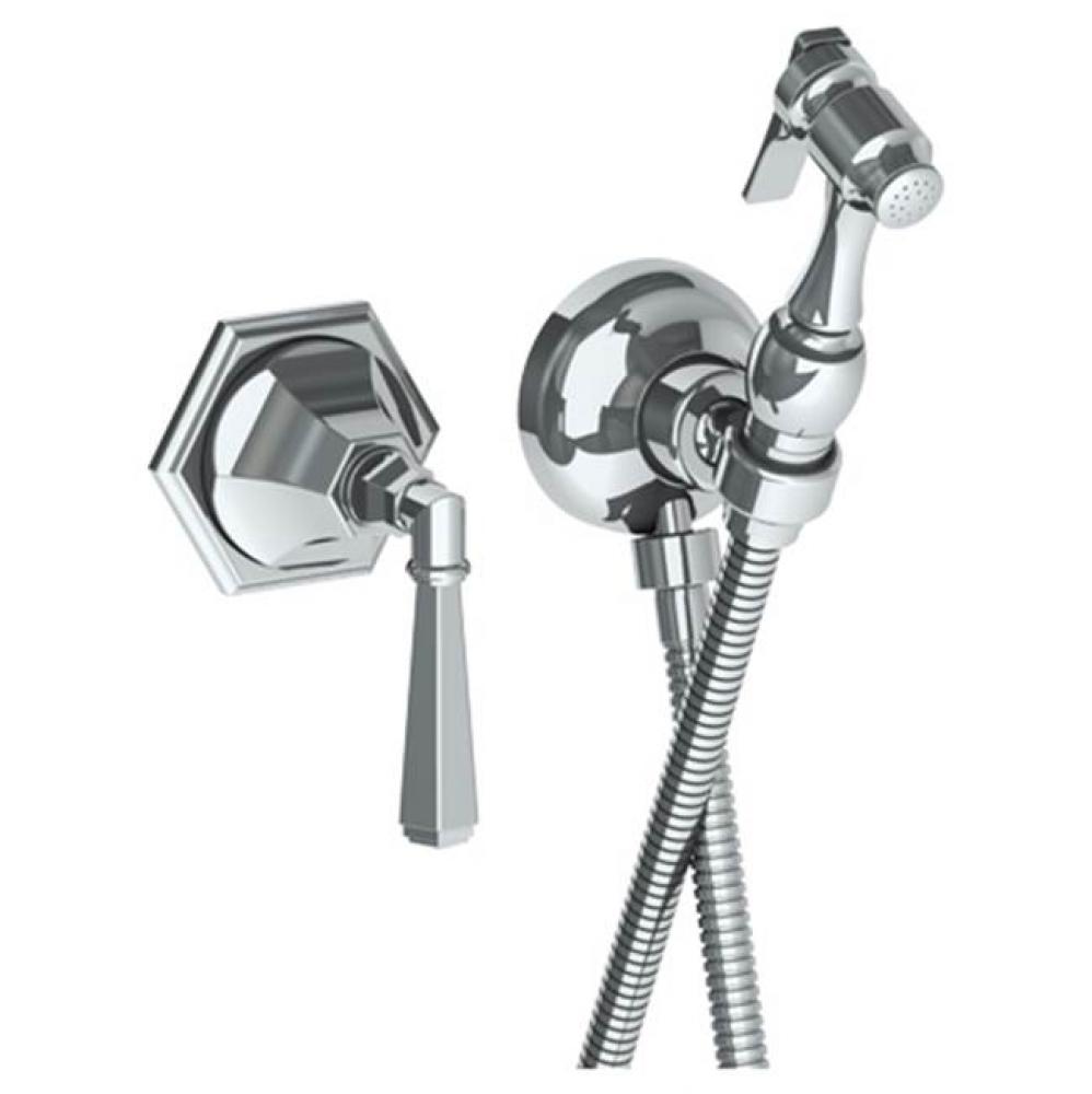 Wall Mounted Bidet Spray Set
