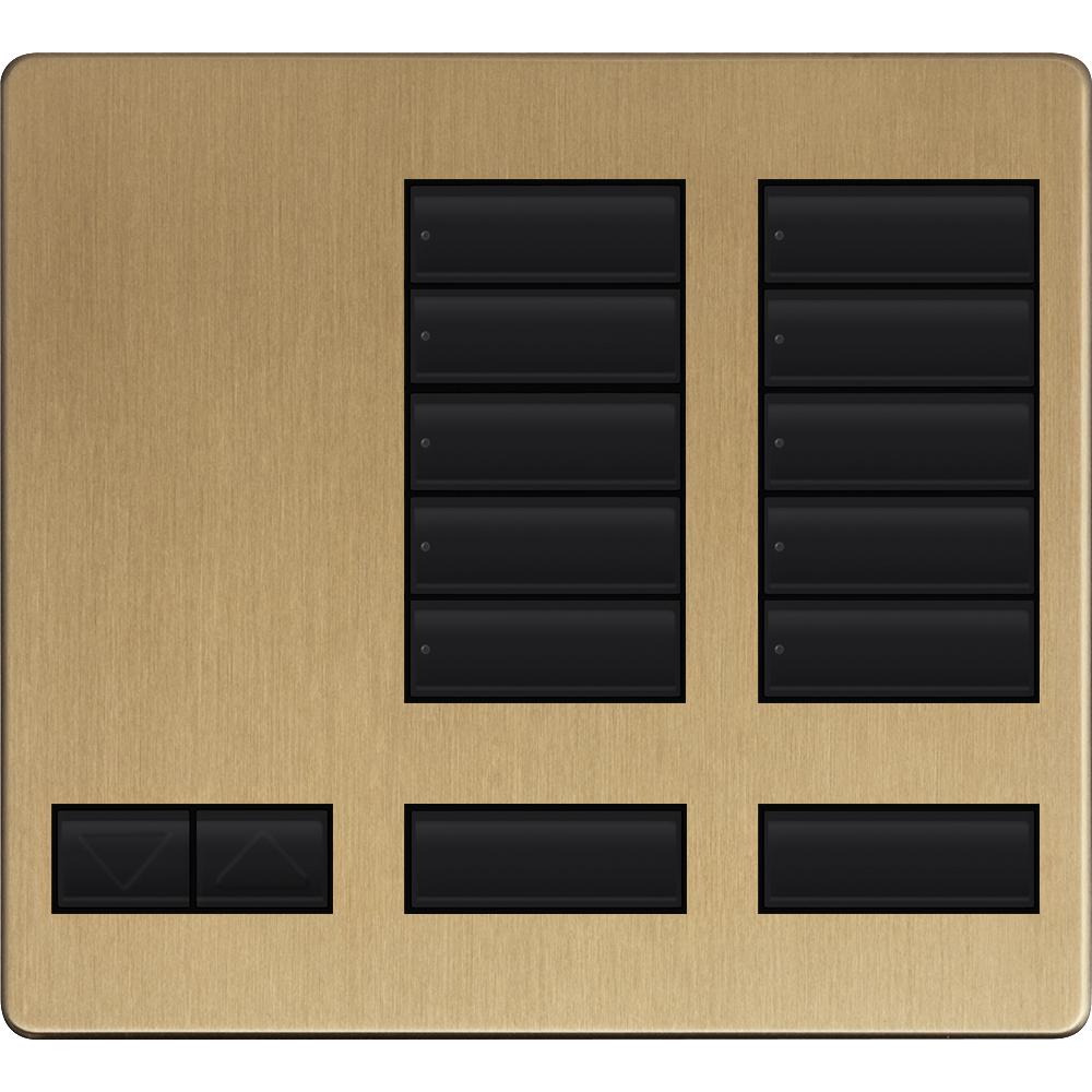 LARGE 10 BUTTON FACEPLATE KIT SB