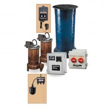 Liberty Pumps ELVFL63-DT - 6/10 hp, Subemersible Elevator Sump Pump, 230V, 3PH, Duplex, includes 59 gal. holding tank, remote