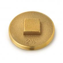 Oatey 42371 - 1852.5-2 1/2 In. Clean Out Plug
