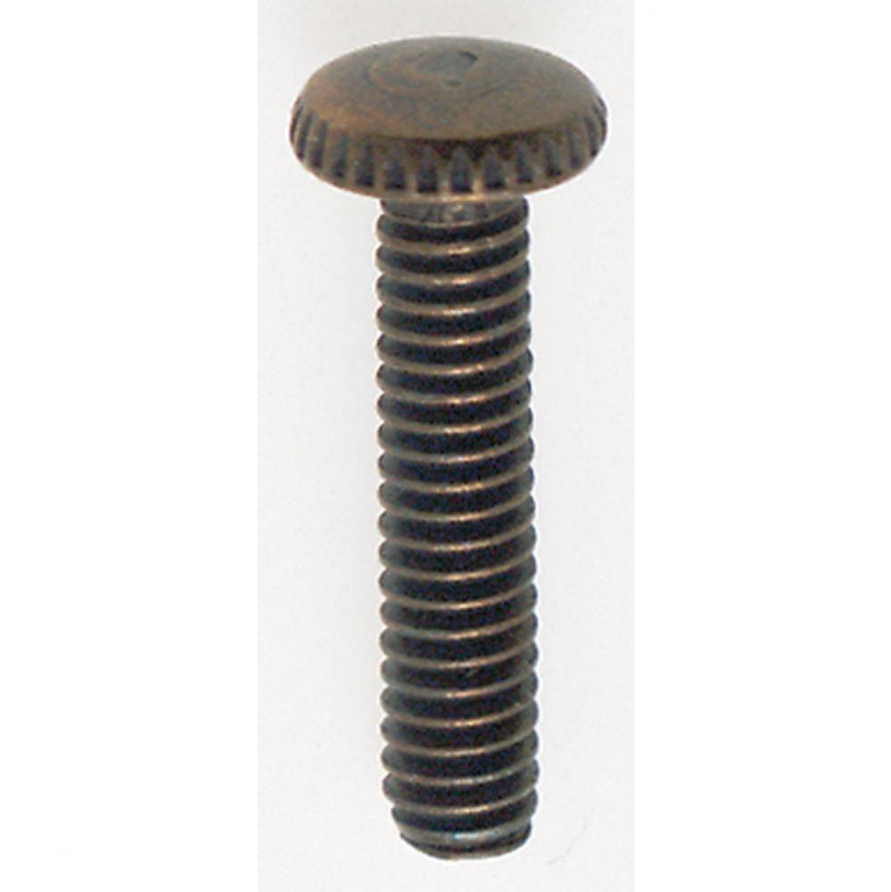 3/4'' Antique Brass Finish 8/32 Screw