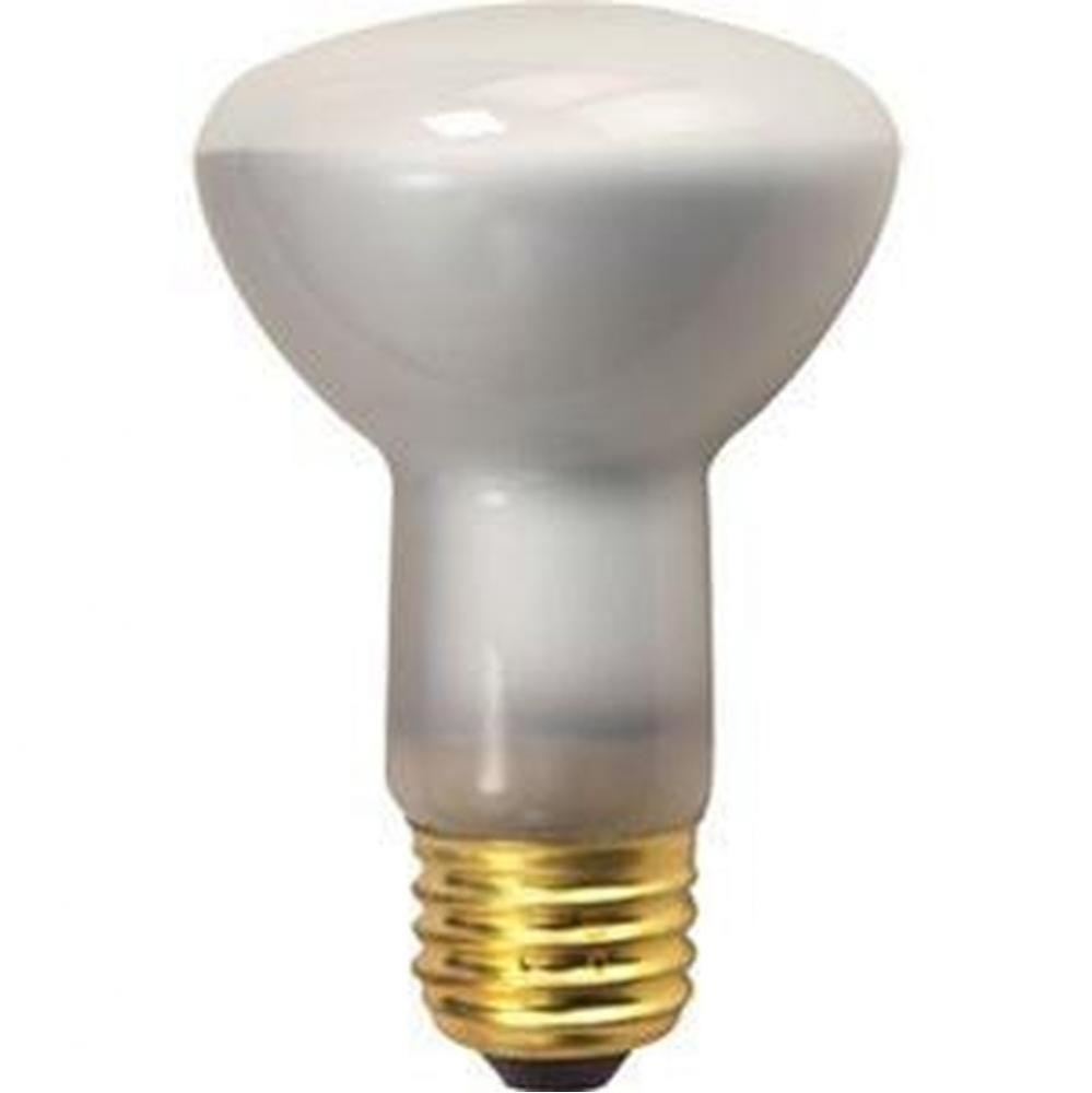 100R20/FL 130V SHORT E26 POOL