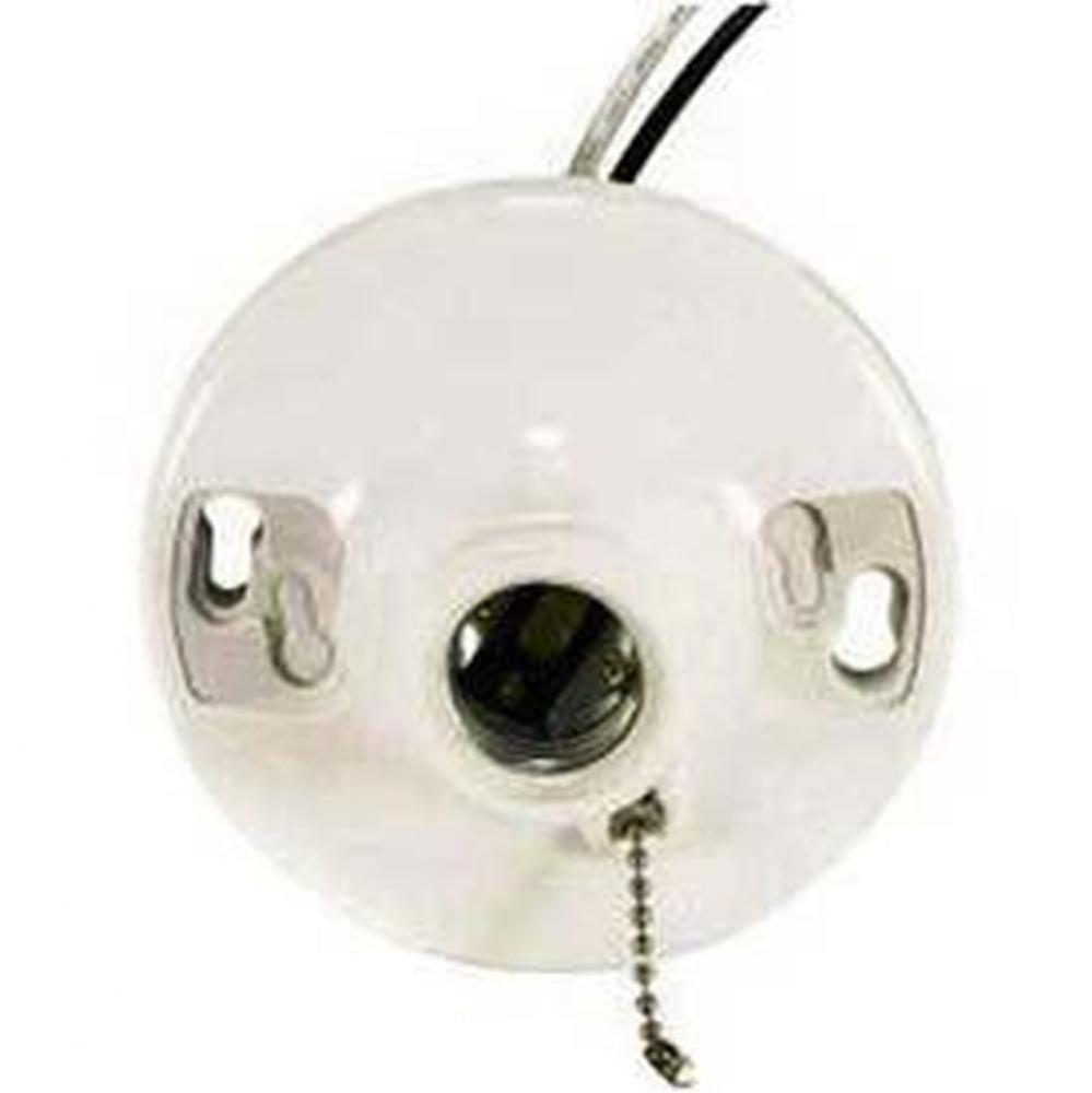 Plastic Keyless Receptacle/pig