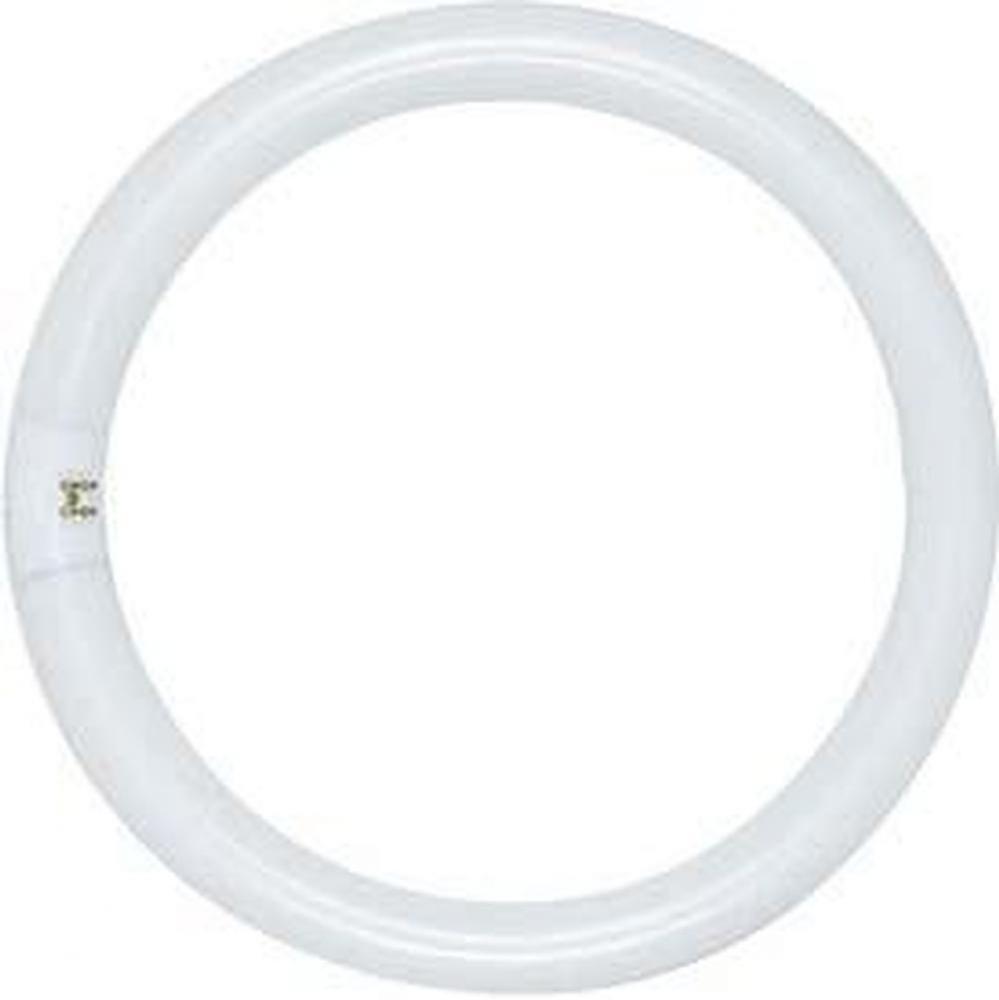 FC8T9/WW 22 WATT WARM WHITE
