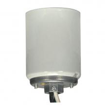 Satco 80-1449 - Mogul Glazed Socket with 1/4 Cap with 20''