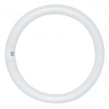 Satco S6501 - FC8T9/D 22W DAYLIGHT 6500K