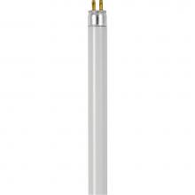 Satco S7908 - F22T4/CW/28.63 IN