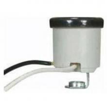 Satco 80-1685 - Unglazed Porcelain with wireways with Black