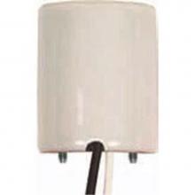 Satco 80-1700 - 4 kV Medium Glazed Porcelain Socket with 36'' Sf2