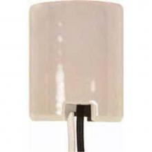 Satco 80-1751 - 4 kV Glazed Mogul with wire Way 8-32