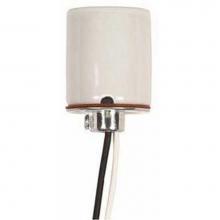 Satco 80-2092 - 4 kV Keyless Porcelain 1/8 IP with 1/8 Cap