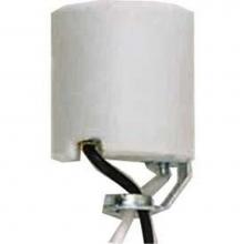 Satco 80-2182 - Porcelain Socket-z14.5 Hky with 20'' 125d