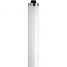 Satco S2944 - 85 watt; T12; Fluorescent; 3500K Neutral White; 70 CRI; Recessed Double Contact HO/VHO