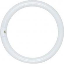 Satco S6502 - FC8T9/WW 22 WATT WARM WHITE