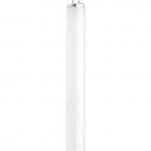 Satco S6580 - F30T12/CW/TF SHATTER PROOF