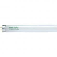 Satco S8405 - F17T8/835/ENV
