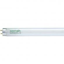 Satco S8411 - F25T8/835/ENV