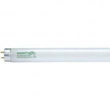 Satco S8426 - F32T8/830/HL/ENV
