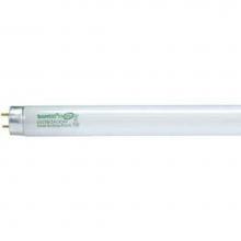Satco S8427 - F32T8/835/HL/ENV