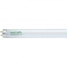 Satco S8432 - F17T8/850/ENV