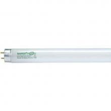 Satco S8435 - F25T8/865/ENV