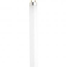 Satco S8436 - F32T8/865/ENV