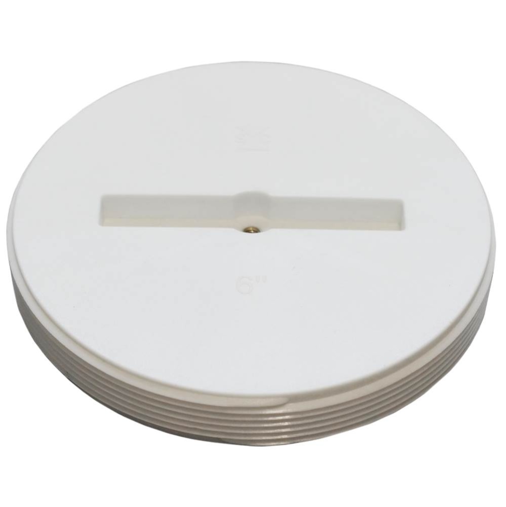 Plug Pvc 6 Slotted W/insert