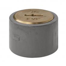 Sioux Chief 853-F23I - Cleanout Ferrule Ci 3 With Plug