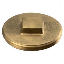 Sioux Chief 876-RS15 - Plug Br 1.5 Square-raised