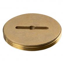 Sioux Chief 876-SL40 - Plug Br 4 Slot-tapped