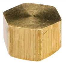 Sioux Chief 930-492001 - Pipe Cap 1/2 Fip Barstock Nl 1/bg