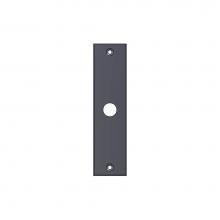 Sun Valley Bronze P-N979 - 1 1/2'' x 6'' Novus passage plate.