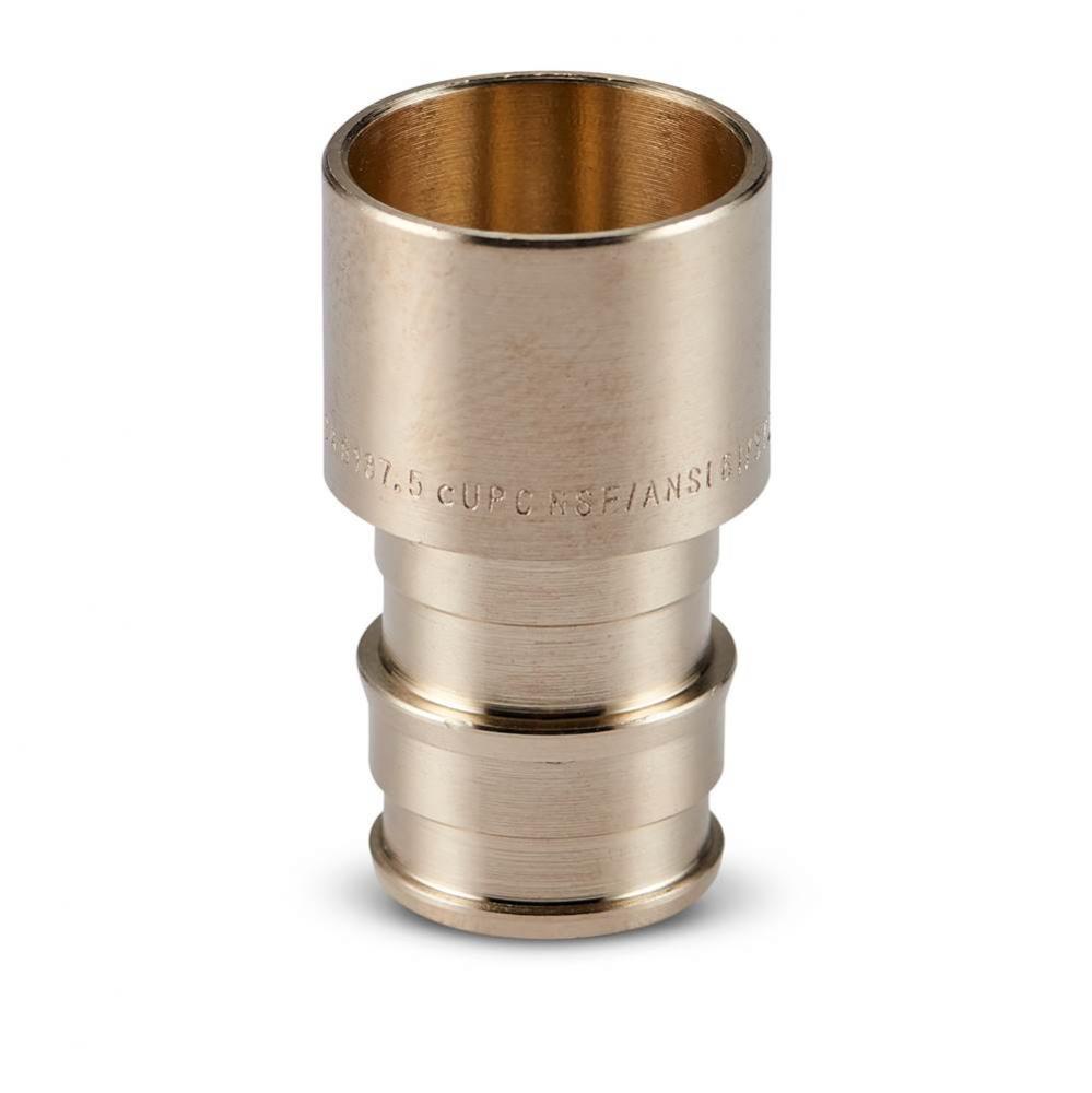 F1960 Expansion XL Brass FSWT Adapter - 1/2'' EX PEX x 1/2'' FSWT