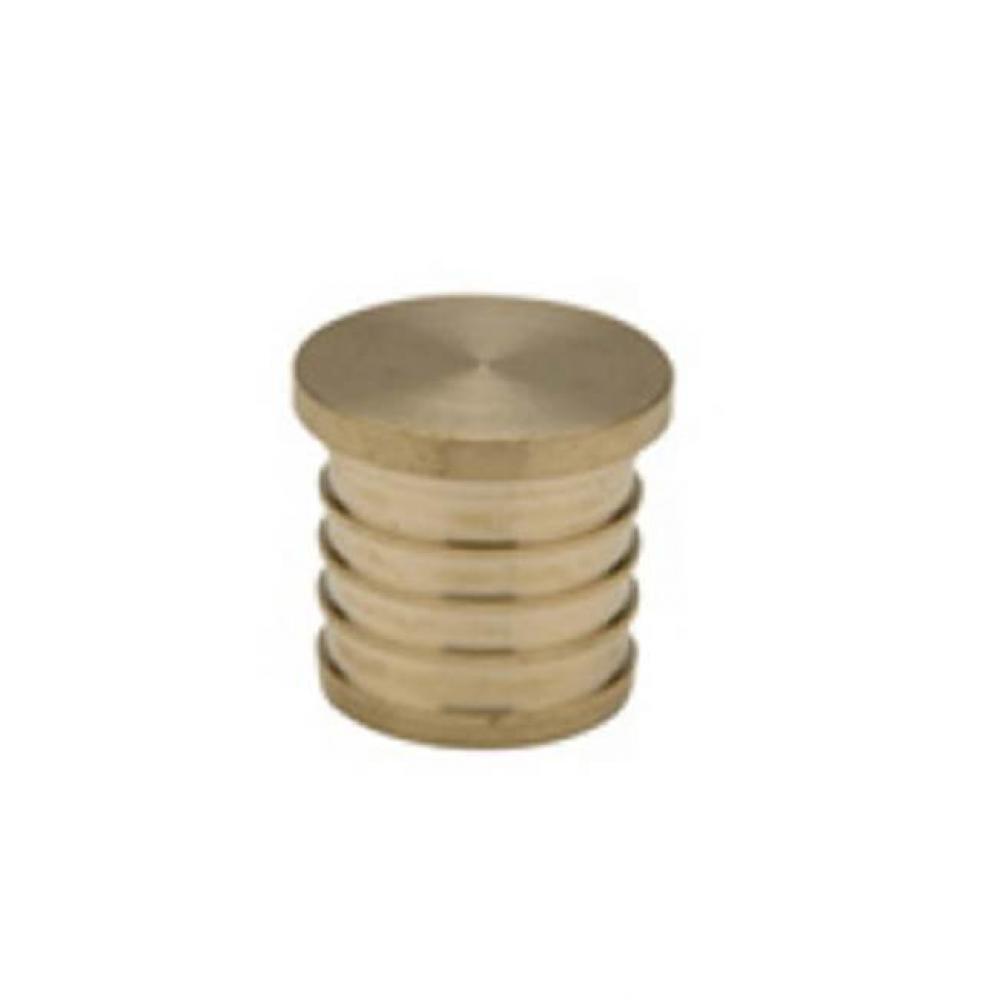 XL Brass - Brass Test Plug - 2'' Barb