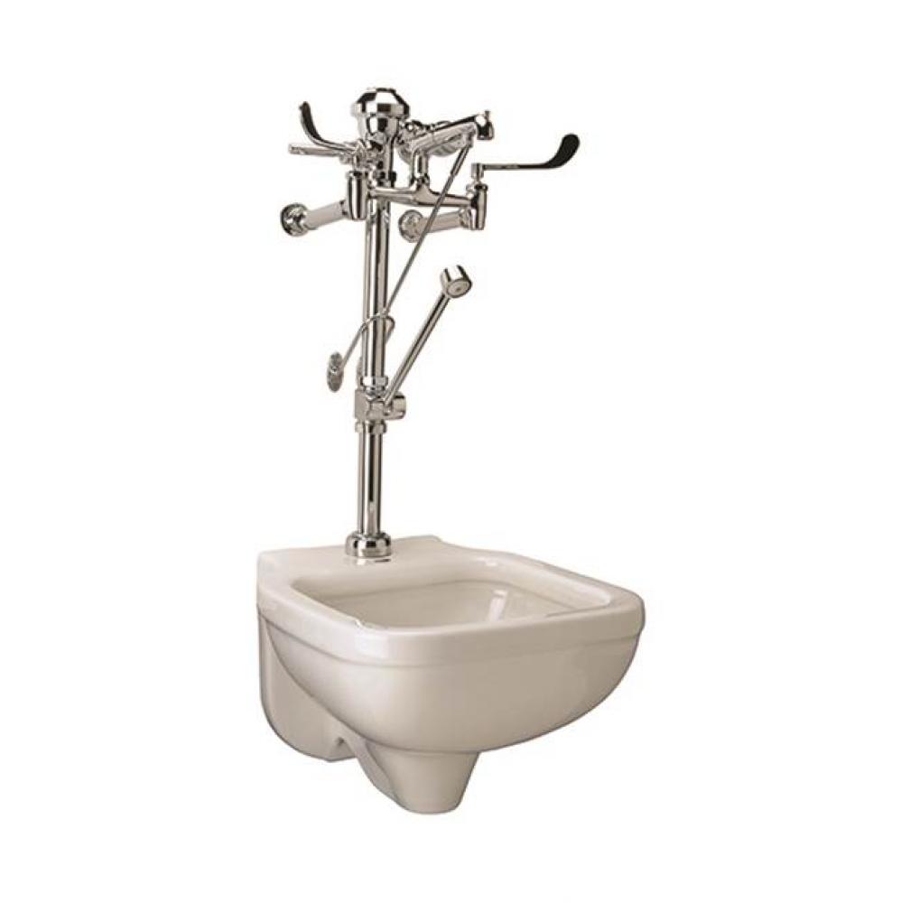 MANUAL CLINICAL SINK SYSTEM