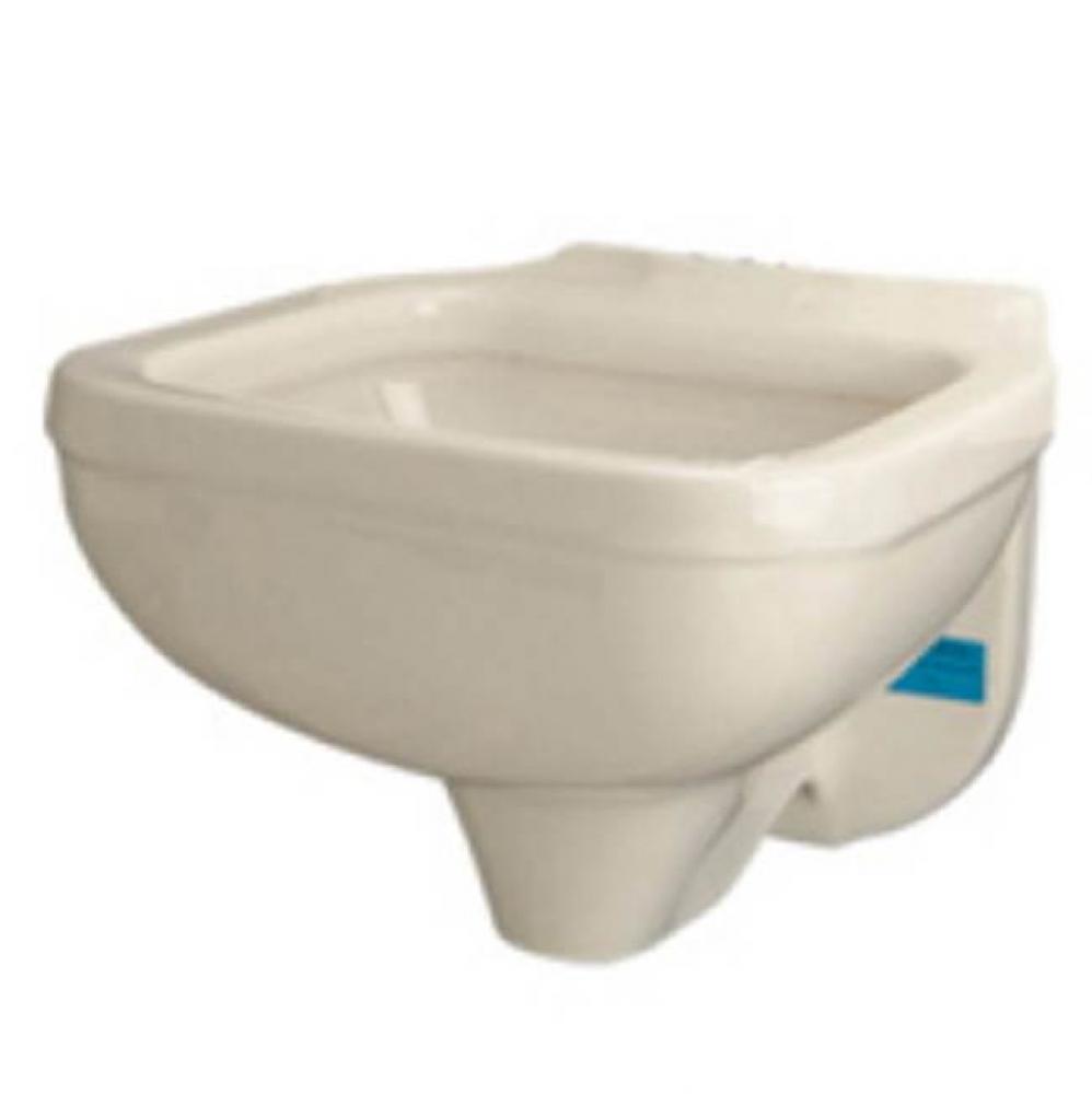 Wall mounted Z5410 clinical sink with Z60843AV-BWN